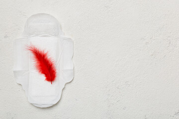 Women hygiene products or Sanitary pad with red feather on colored background. Pastel color. Closeup. Empty place for text. Female daily hygiene © sosiukin