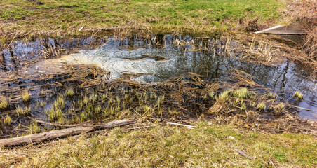 a stream with foam flowing in the spring