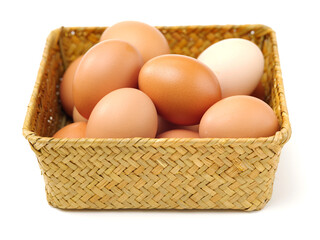 egg on a white background