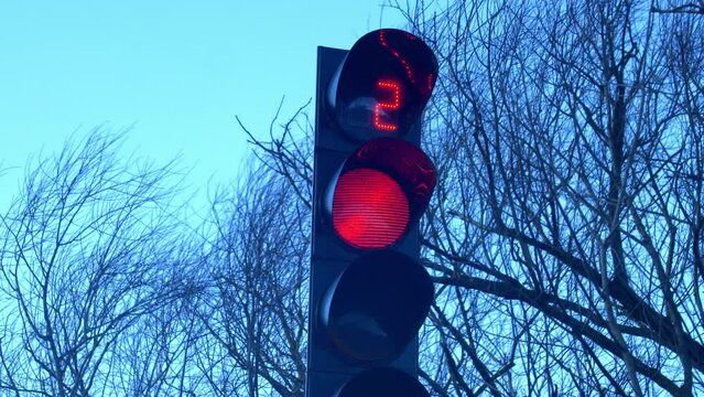Traffic Signal Countdown Timer on Windy Weather with Trees and Dark Sky
