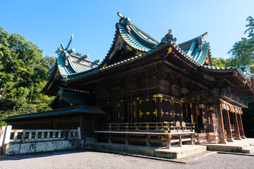 Fototapeta premium 静岡県三島市 三嶋大社 拝殿