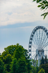 Fototapeta premium landscape of an amusement park with the top of a Ferris wheel showing above the tree tops against a blue sky.