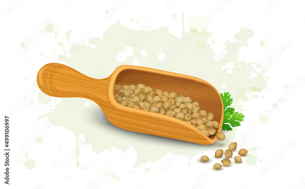 Wall mural Vector illustration of Coriander seeds with a wooden spoon - Wall murals