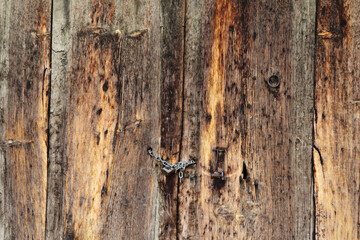  Old wooden door with a padlock
