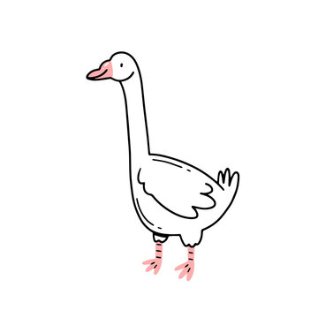 recommend clip art: Goose in cute doodle style. Isolated illustration.