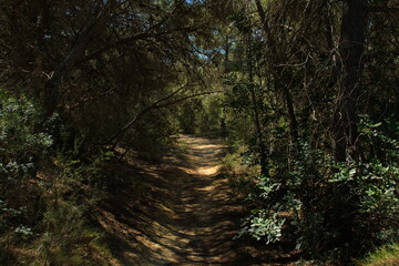 Hiking trail in Parc Natural de Turia at La Vallesa near Valencia,Spain,Europe
