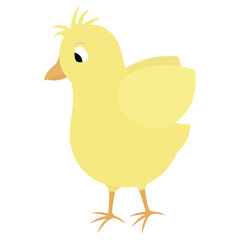 Chick. Color vector illustration. Yellow bird. A baby chicken flaps its wings. Nice hairstyle. Isolated background. Flat style. Festive print. Idea for web design, invitations, postcards. Happy Easter