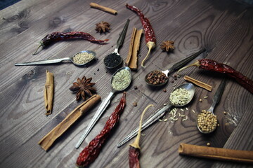 Metal spoons with spice seeds of anis, nigella, ajowan, coriander, rosemary, Sichuan pepper and dry...