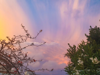 Fototapeta premium Vega Baja del Segura - Torrevieja - Cielos espectaculares y paisajes
