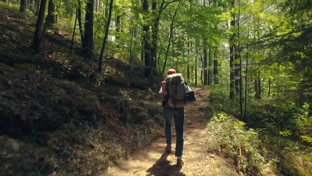 Following a hiker in a beautiful green forest with patches of sunshine on the path