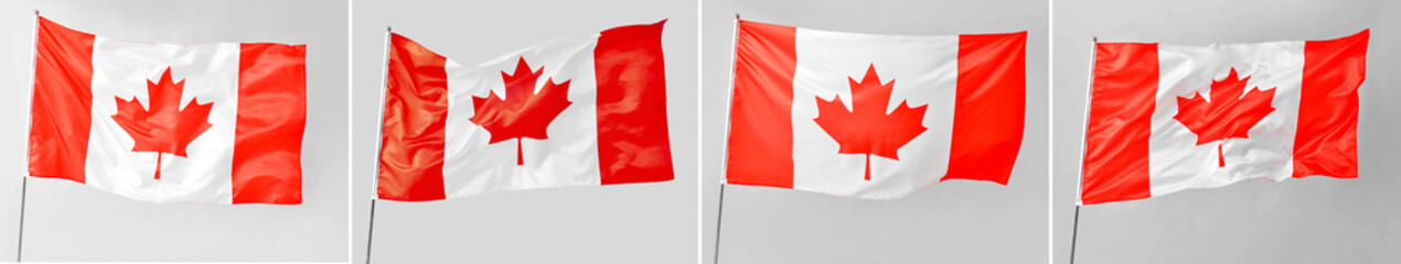 Set of waving Canadian flag on light background