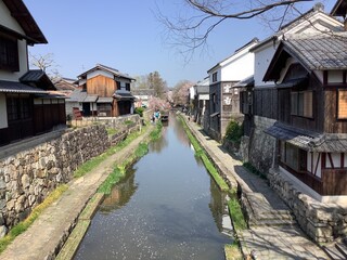 Fototapeta na wymiar Cityscape with waterways in Omihachiman, where cherry blossoms bloom in spring