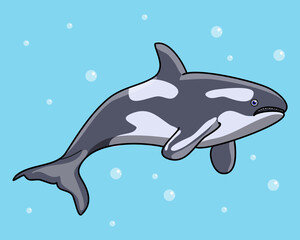 Obraz premium orca whale in cartoon illustration design in editable vector format
