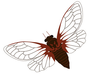A cicada insect with open wings. The surrounding world of flora and fauna. Vector illustration isolated on a white background for print