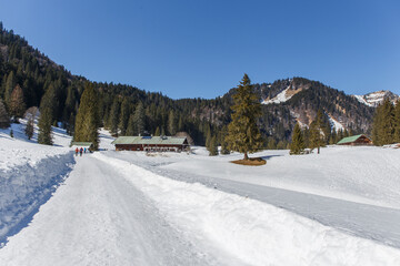 Fototapeta premium Schwarzentennalm, nähe Kreuth, Bayern, Deutschland 