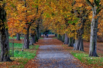 Thornes Park Wakefield in Autumn