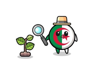 cute algeria flag herbalist researching a plants