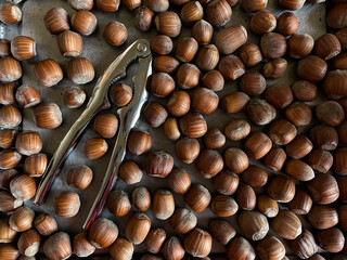 Pile of hazelnuts scattered on old shabby metal tray with nutcracker.