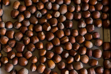 Photo of hazelnuts on a tray on table. Hazelnut nut health organic brown. Top view
