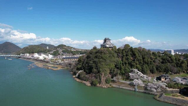 桜咲く春の国宝犬山城（ドローン空撮）