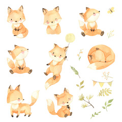 Fox watercolor woodland animal illustration