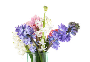 Fototapeta premium Vase with gorgeous hyacinth flowers on white background