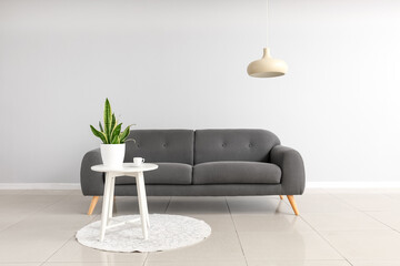 Stylish sofa and houseplant on table near light wall