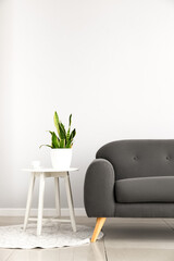 Stylish sofa and houseplant on table near light wall