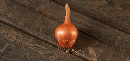 Yellow bulb with sprouted green stems on a wooden texture. Concept: onion, vegetable garden, farming, agriculture