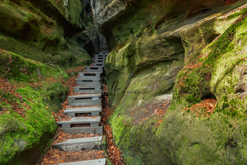 Fototapeta na wymiar Neuer Wildenstein in der Sächsischen Schweiz - Treppe durch die Nasse Schlucht mit Moos