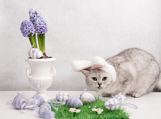funny kitten in a hat with easter bunny ears, lilac hyacinths in a vase and eggs