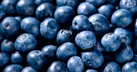 High angle view of fresh blueberries. Small round tasty and healthy forest berries background.