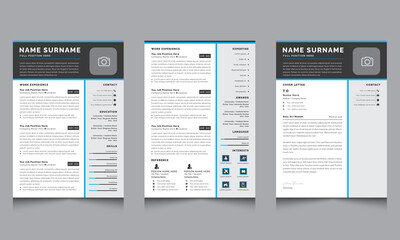  Resume Layouts with Professional Creative Resume Template  Gray Accents