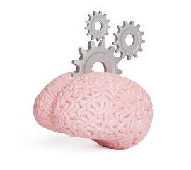Brain and gears isolated on a white background. 3d render
