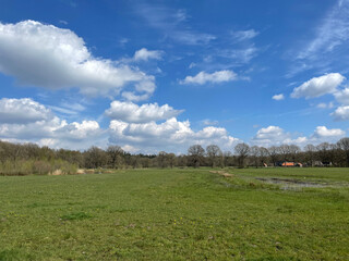 Nature landscape around Ommen