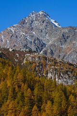 The mountains of the Lepontine Alps and the woods during a beautiful Autumn day, near the village of San Domenico di Varzo, Piedmont, Italy - October 2021.