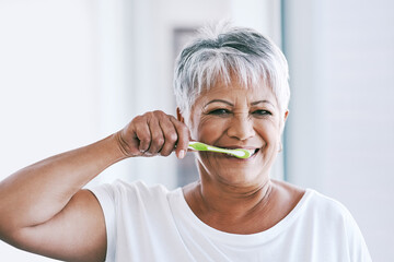 Early morning routines. Portrait of a cheerful mature woman brushing her teeth while looking at the...