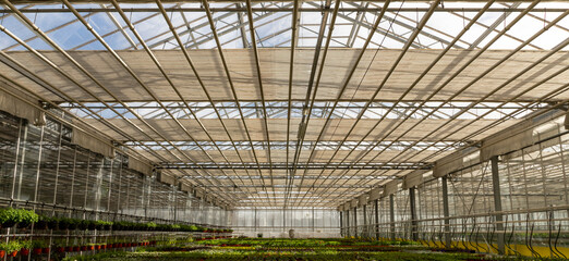 hydroponic greenhouse with climate control system for cultivation