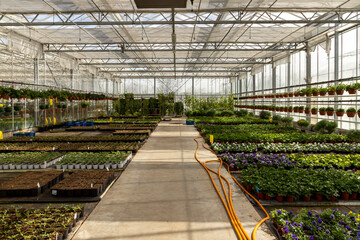 hydroponic greenhouse with climate control system for cultivation