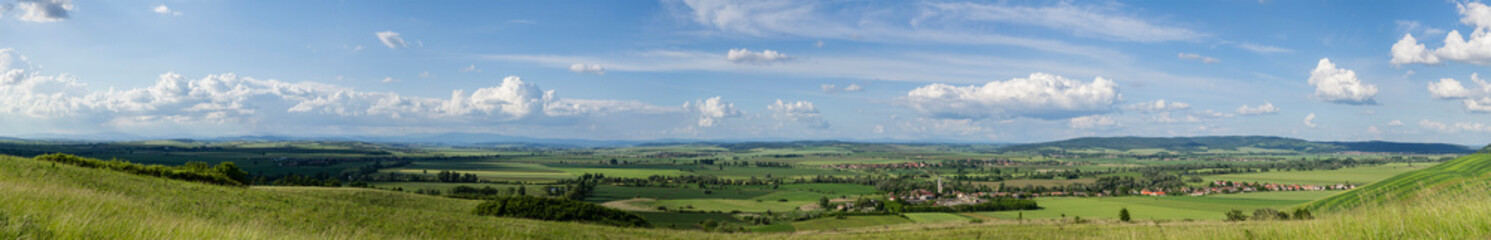 wooded field in hill at summer