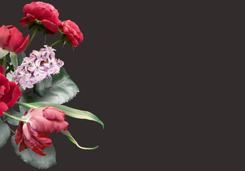 Floral banner, header with copy space. Red rose, tulip and hyacinth isolated on dark background. Natural flowers wallpaper or greeting card.