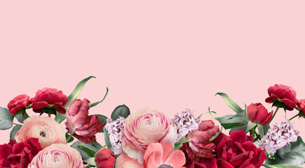 Floral banner, header with copy space. Ranunculus, red rose, tulip and hyacinth isolated on pink...