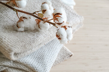Branch with fluffy cotton balls on a pile of natural colored fabrics, fashion concept, ecofriendly grown, sustainable processed and fair trade, copy space, selected focus - obrazy, fototapety, plakaty