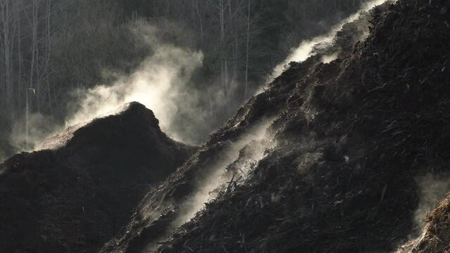 compost heap with steam in the morning