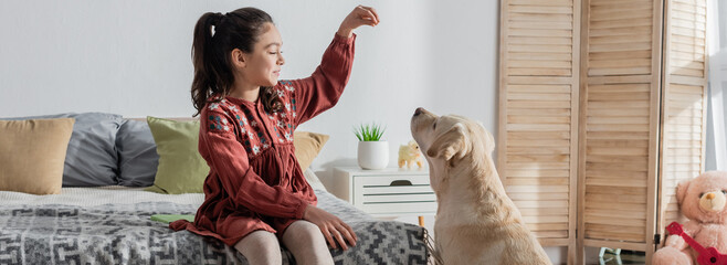 brunette girl with ponytail sitting on bed and playing with labrador, banner.