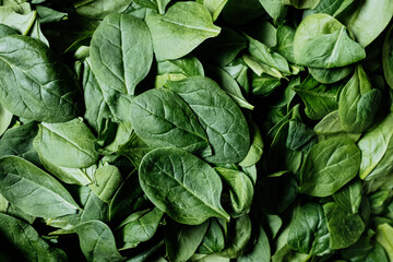 Top view on fresh organic spinach leaves