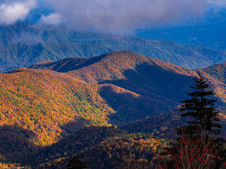 Mountain range with forest in fall colors and sunshine and shadows with low clouds in the Great Smoky Mountains National Park, Tennessee, USA.