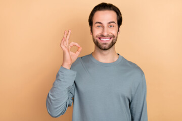 Photo of young cheerful guy show fingers okey symbol perfect feedback decision isolated over beige color background