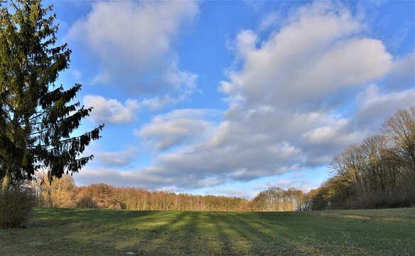 Landschaft mit Feld, Wald und Wolken