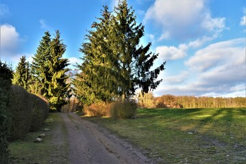 Weg hinterm Wockersee – Parchimer Landschaft mit Feld, Wald und Wolken